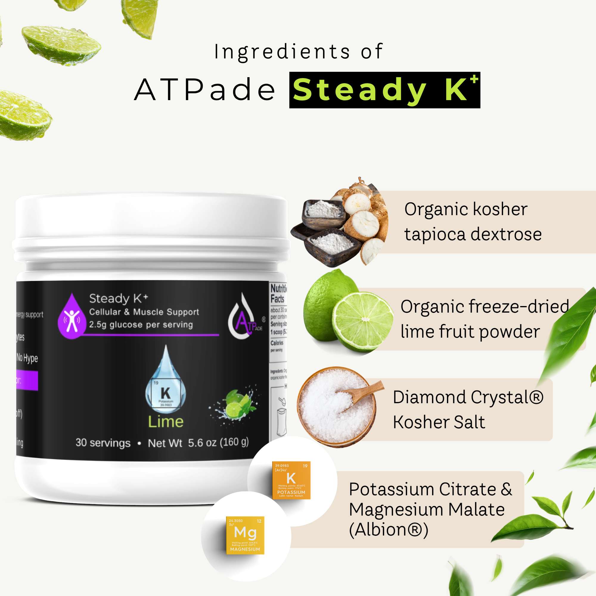 A white tub of ATPade Steady K+ dietary supplement on a light cream background, surrounded by ingredient callouts including lime, tapioca dextrose, freeze-dried lime powder, kosher salt, and potassium citrate/magnesium malate.