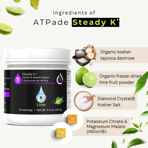 A white tub of ATPade Steady K+ dietary supplement on a light cream background, surrounded by ingredient callouts including lime, tapioca dextrose, freeze-dried lime powder, kosher salt, and potassium citrate/magnesium malate.
