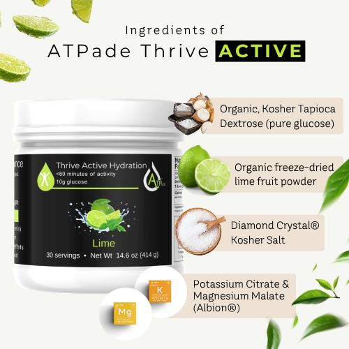 A white tub of Thrive Active Hydration ATPade Thrive ACTIVE lime flavor supplement shown on a light background with ingredient callouts and lime graphics.
